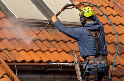 Démoussage et hydrofuge de toiture à Borne